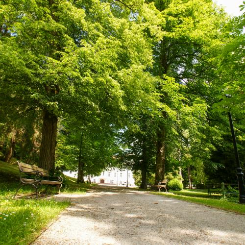 Zdraviliški park Dobrna